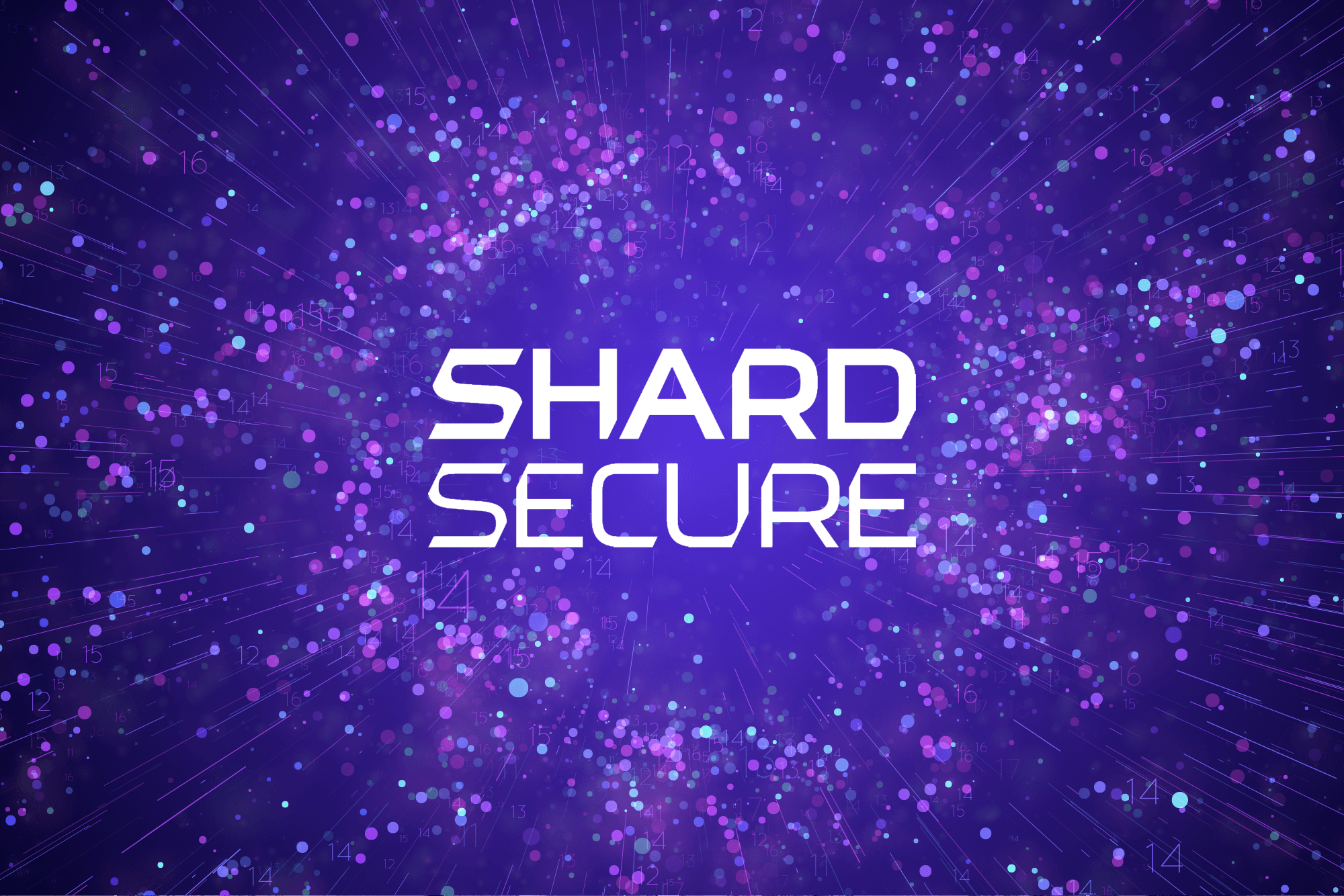 Are You Doing Everything You Can to Protect Your Data in the Cloud? ShardSecure Can Make Sure You Are